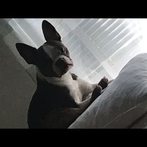 Meet your Posher, Danielle